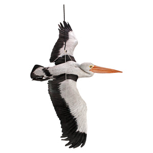 Pelican Flying (Not in Aus)