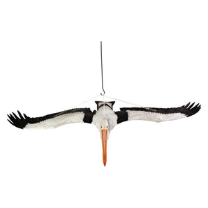 Pelican Flying (Not in Aus)