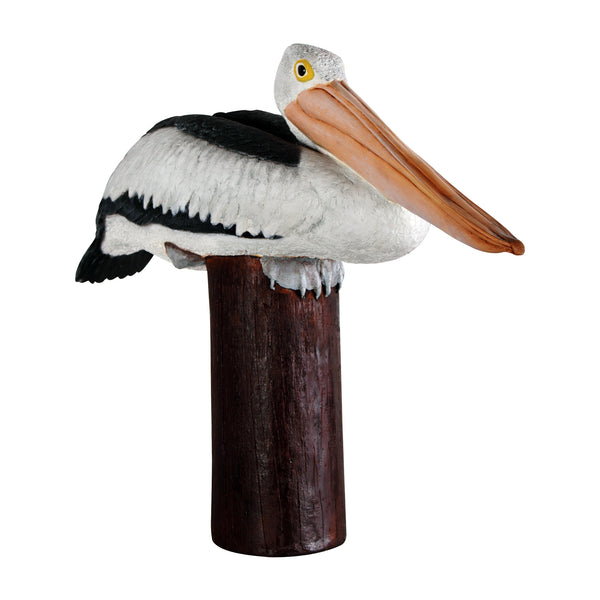 Pelican on Post (Not in Aus)