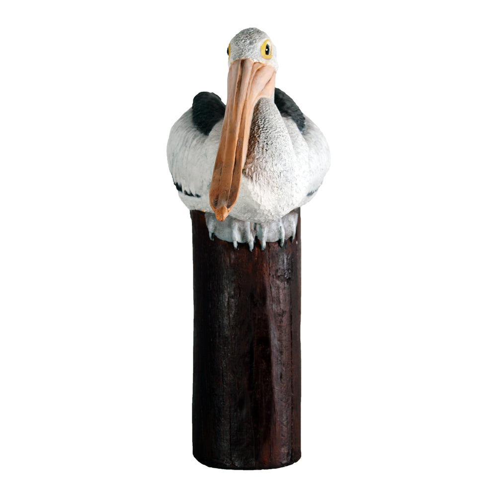 Pelican on Post (Not in Aus)