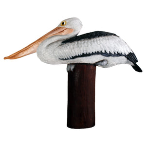 Pelican on Post (Not in Aus)