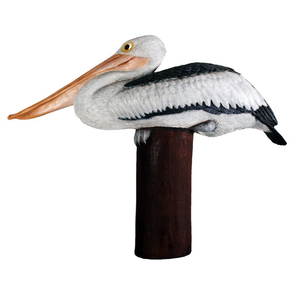Pelican on Post (Not in Aus)