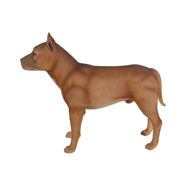 Pitbull (not in Aus)