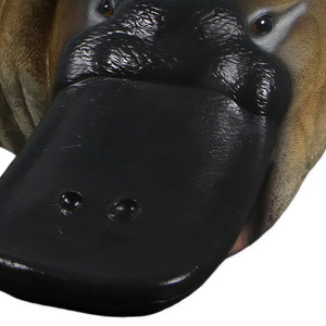Platypus 2.5 meter (Not in AUS)
