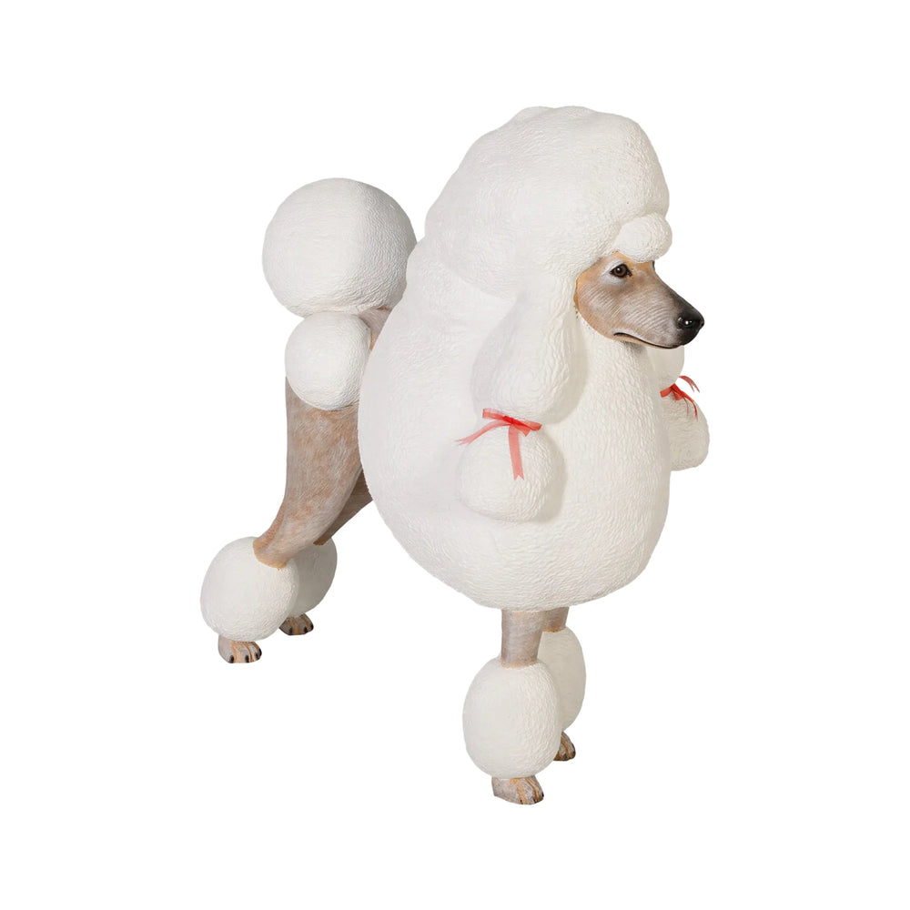 Poodle (Not in AUS)
