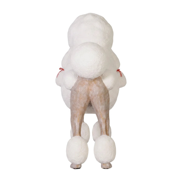 Poodle (Not in AUS)