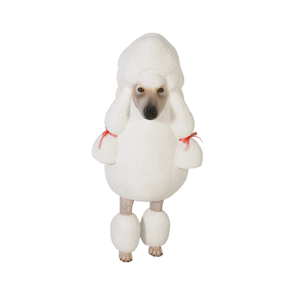Poodle (Not in AUS)