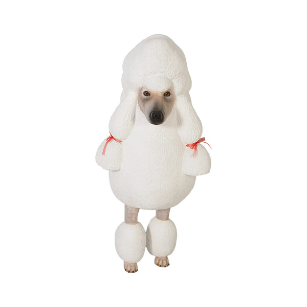 Poodle (Not in AUS)