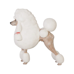 Poodle (Not in AUS)
