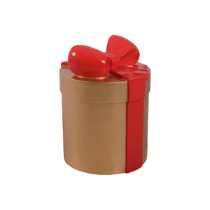 Present D 58X43X43Cm (Not In Aus)