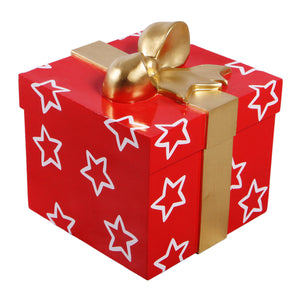 Present E 45X40X40Cm (Not In Aus)