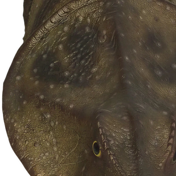 Protoceratops (Not In Usa)