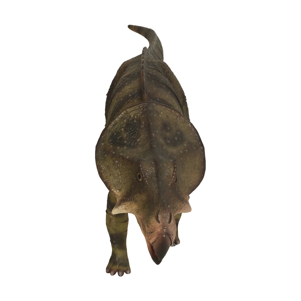 Protoceratops (Not In Usa)