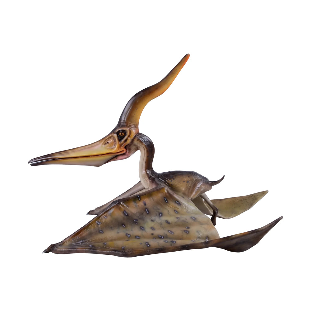 Pteranodon Ingens (Not In Aus)