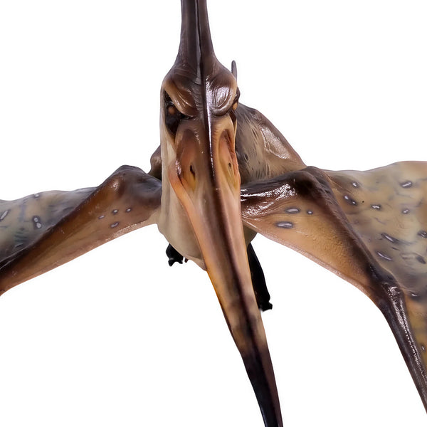 Pteranodon Ingens (Not In Aus)