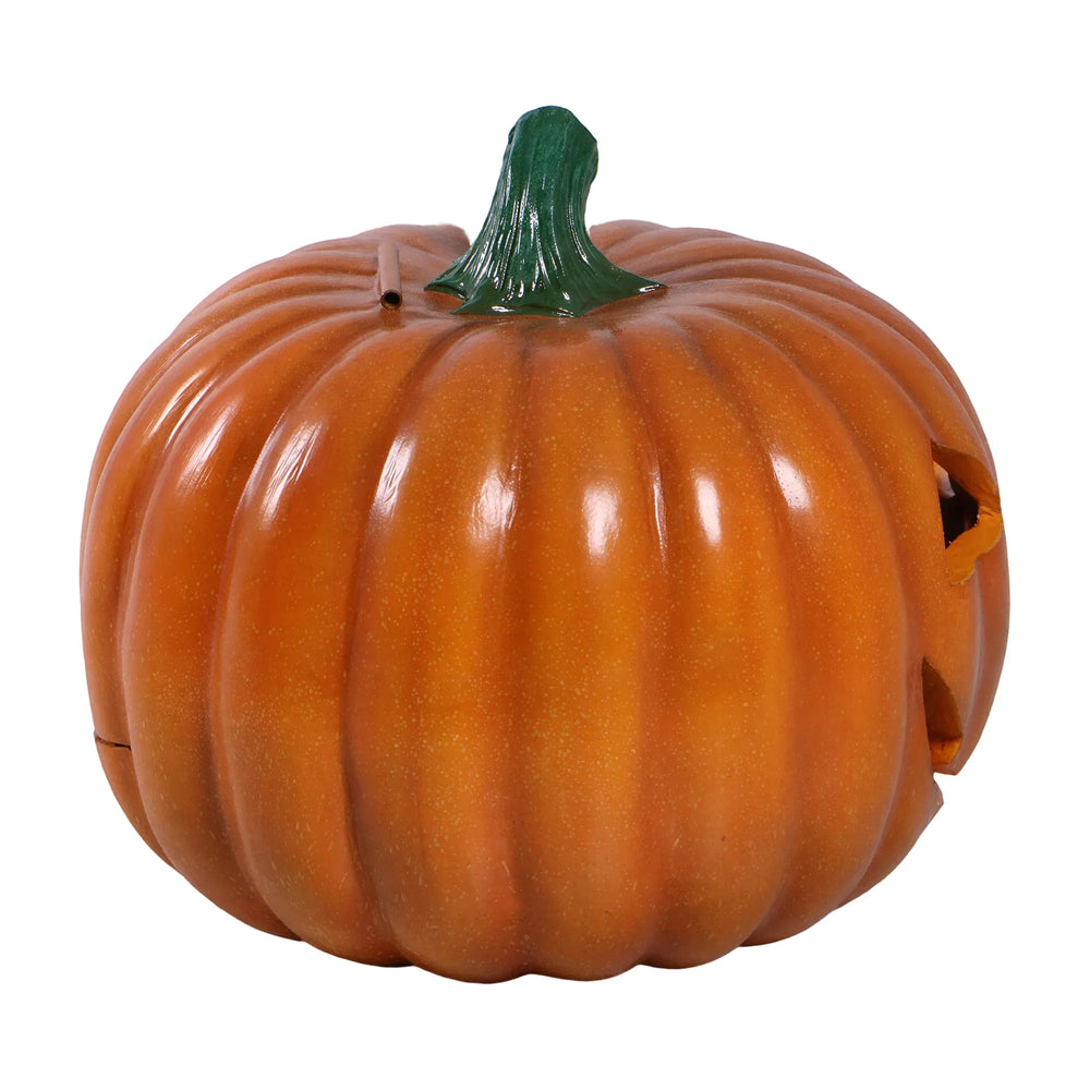 Pumpkin #5  (Not In Japan)
