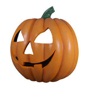 Pumpkin - Photo Op