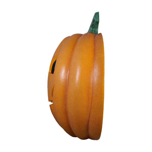 Pumpkin - Photo Op