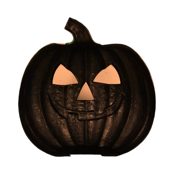Pumpkin - Photo Op