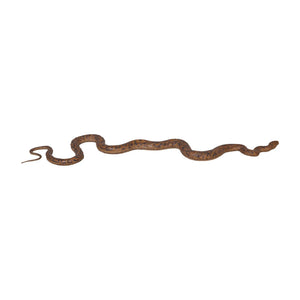 Python (Not in Aus)
