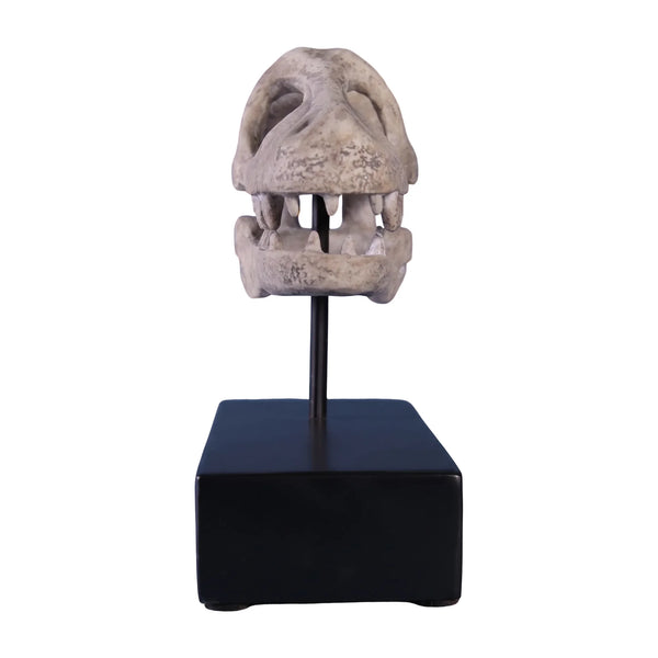 Raptor Skull On Base