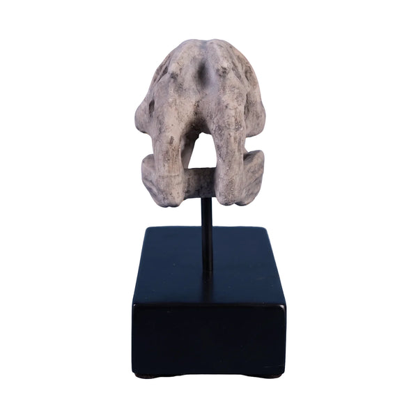 Raptor Skull On Base
