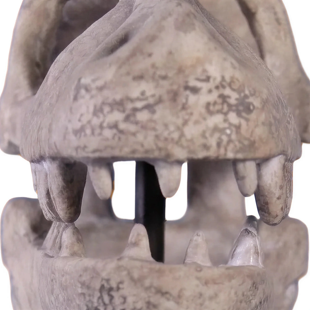 Raptor Skull On Base