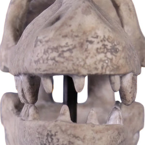 Raptor Skull On Base