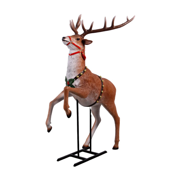 Rearing Reindeer (Not In Usa/Canada)
