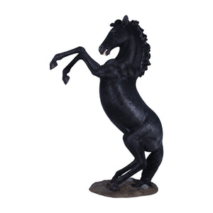 Rearing Stallion