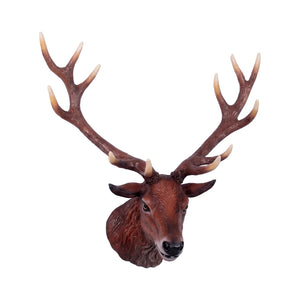 Red Deer Stag - Head Only