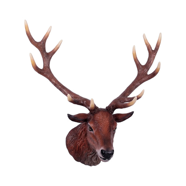 Red Deer Stag - Head Only