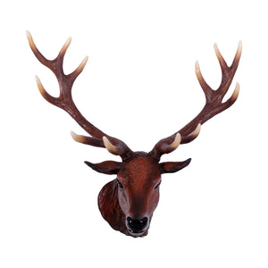 Red Deer Stag - Head Only