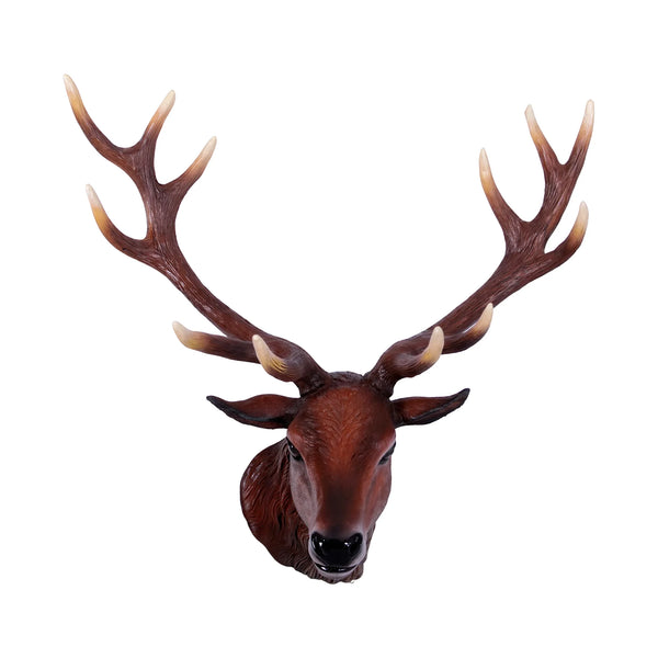 Red Deer Stag - Head Only