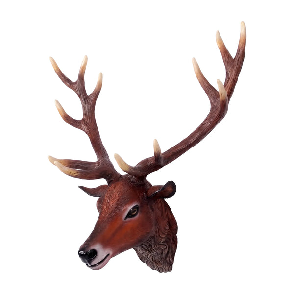Red Deer Stag - Head Only