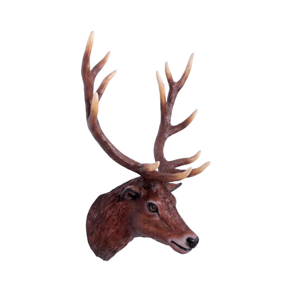 Red Deer Stag - Head Only