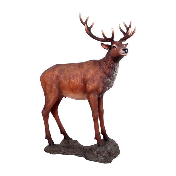 Red Deer Stag on Base