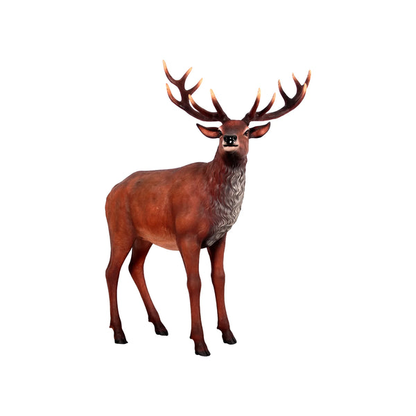 Red Deer Stag on Base