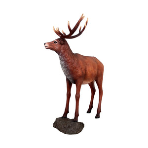 Red Deer Stag on Base