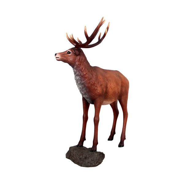 Red Deer Stag on Base