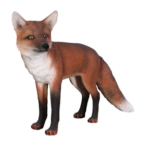 Red Fox