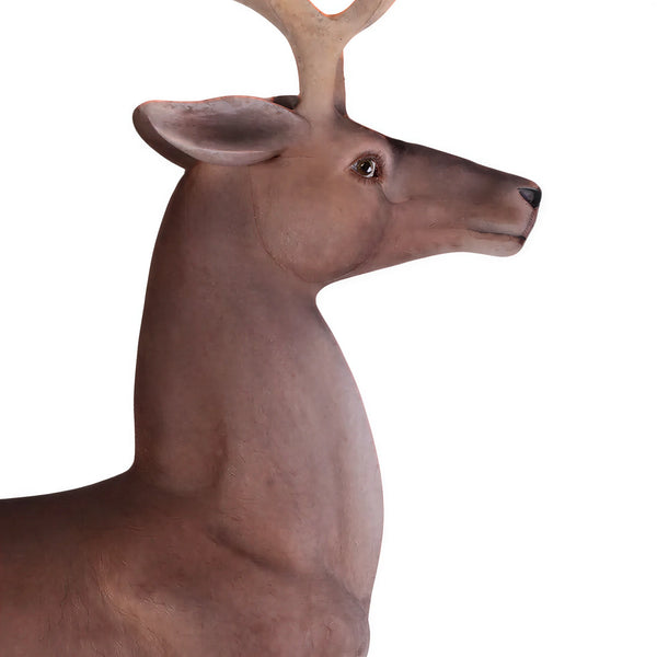 Reindeer On Base (Not In Aus)
