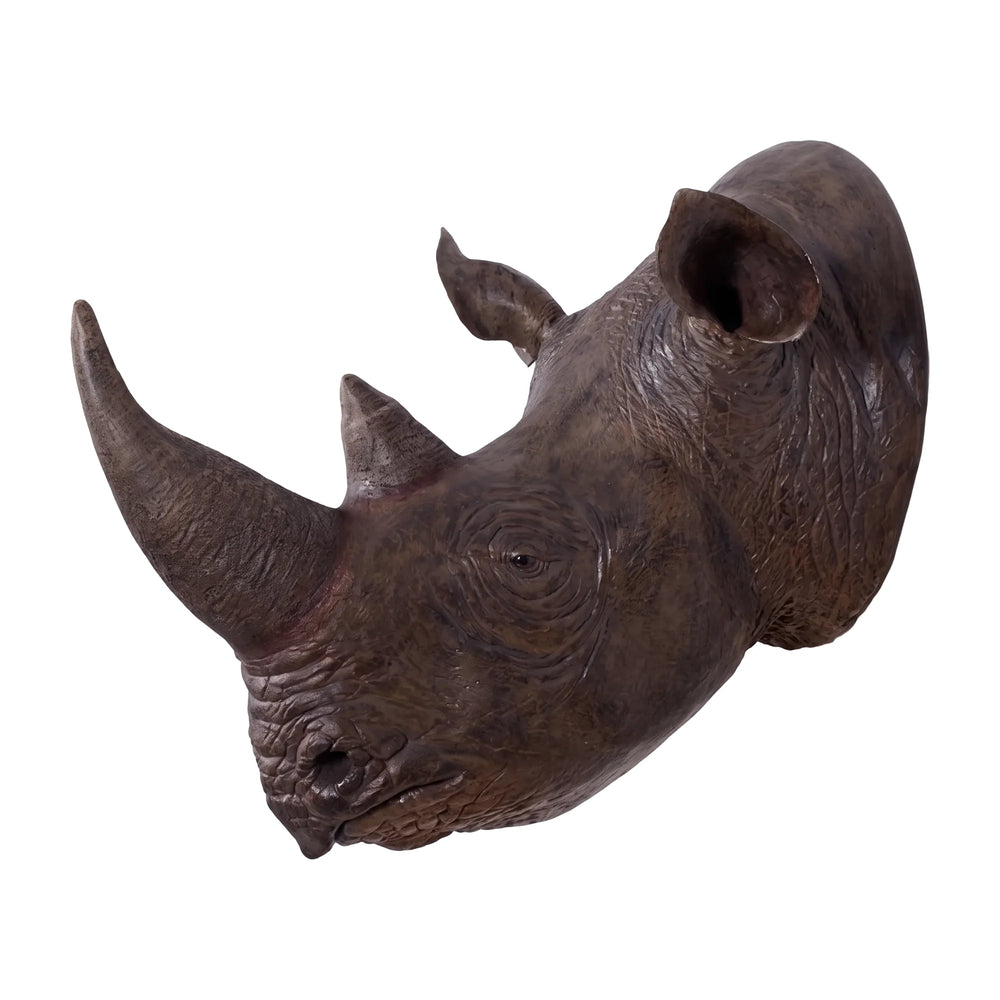 Rhinoceros Head