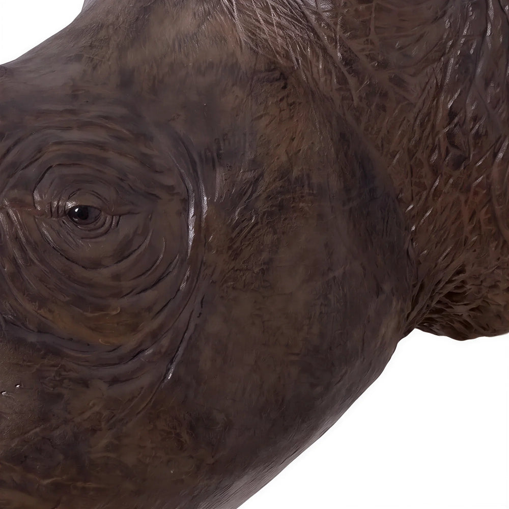 Rhinoceros Head