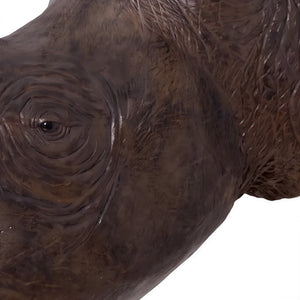 Rhinoceros Head