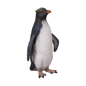 Rockhopper Penguin (not in AUS)