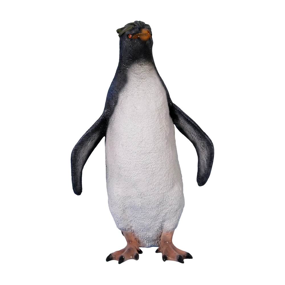 Rockhopper Penguin (not in AUS)