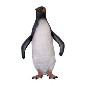 Rockhopper Penguin (not in AUS)