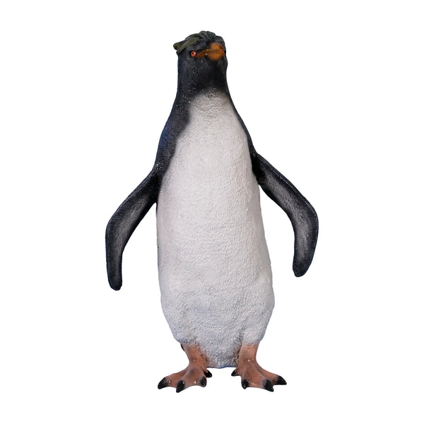 Rockhopper Penguin (not in AUS)