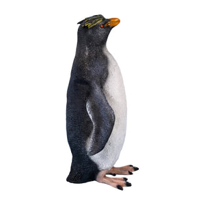 Rockhopper Penguin (not in AUS)